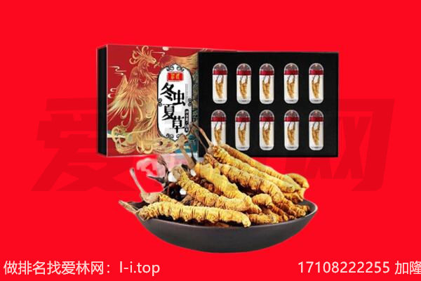 吉安回收虫草.jpg